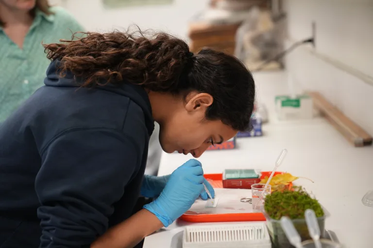 Girls in STEM - 1