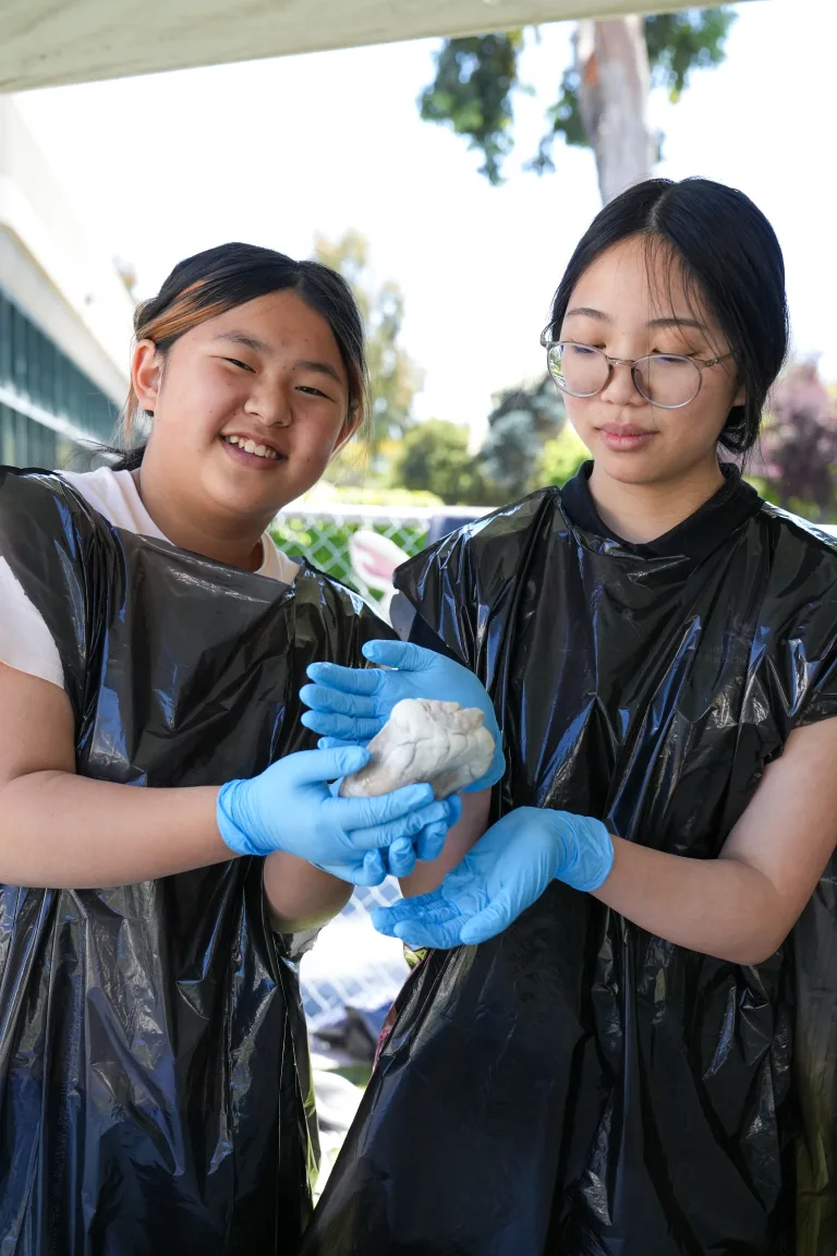 Girls in STEM - 5